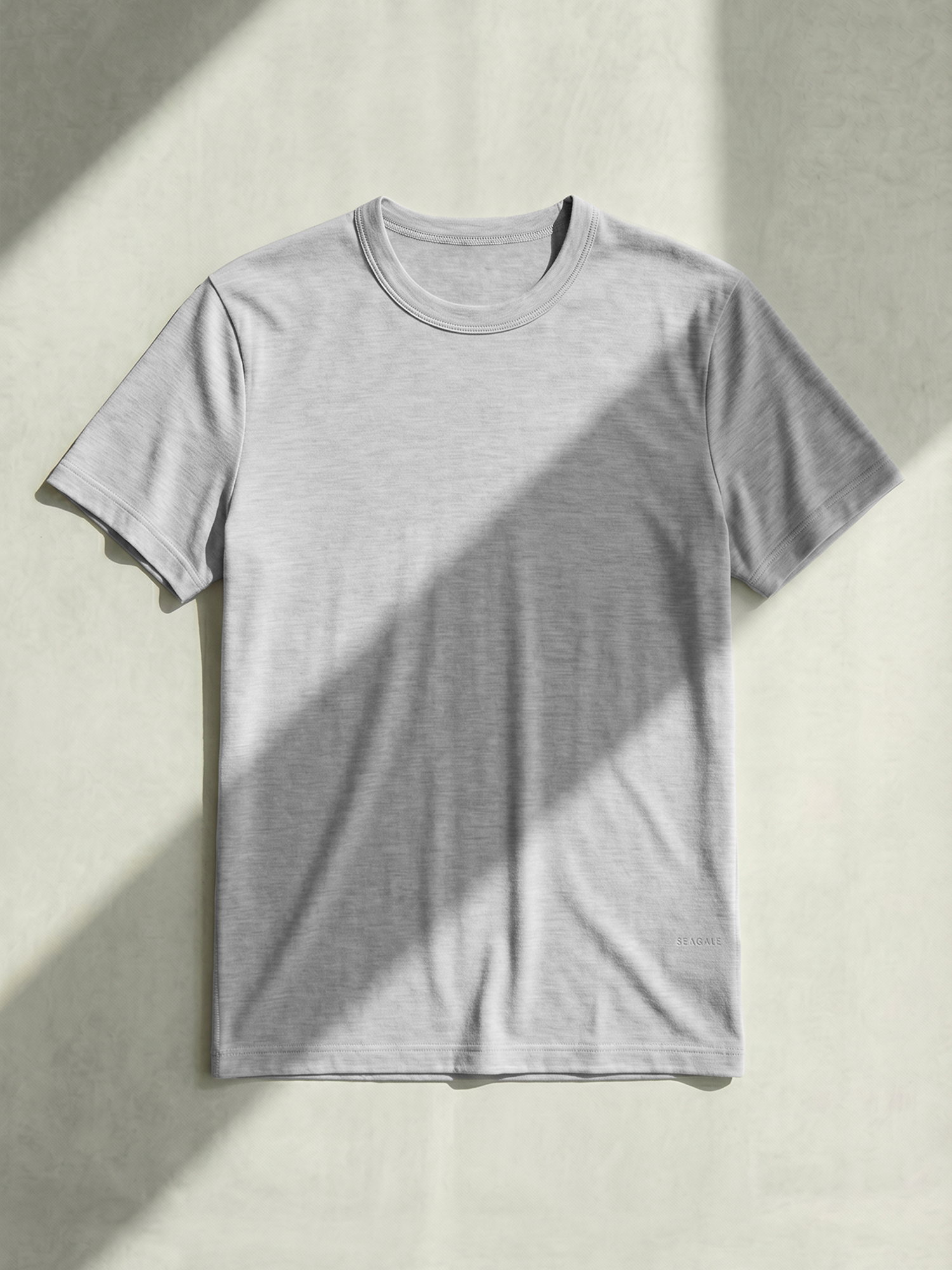 PERFORMANCE MERINO T-SHIRT Gris Clair