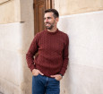 LAMBSWOOL CABLE PULLOVER