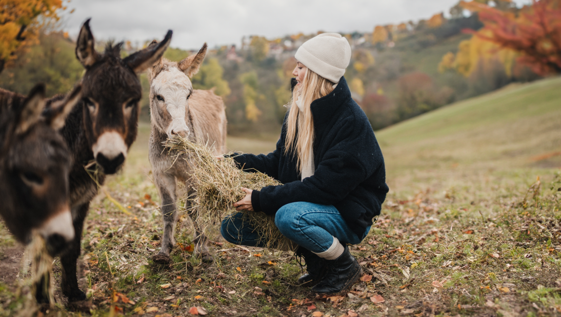 PREMIUM CASHMERE BEANIE Ivoire 