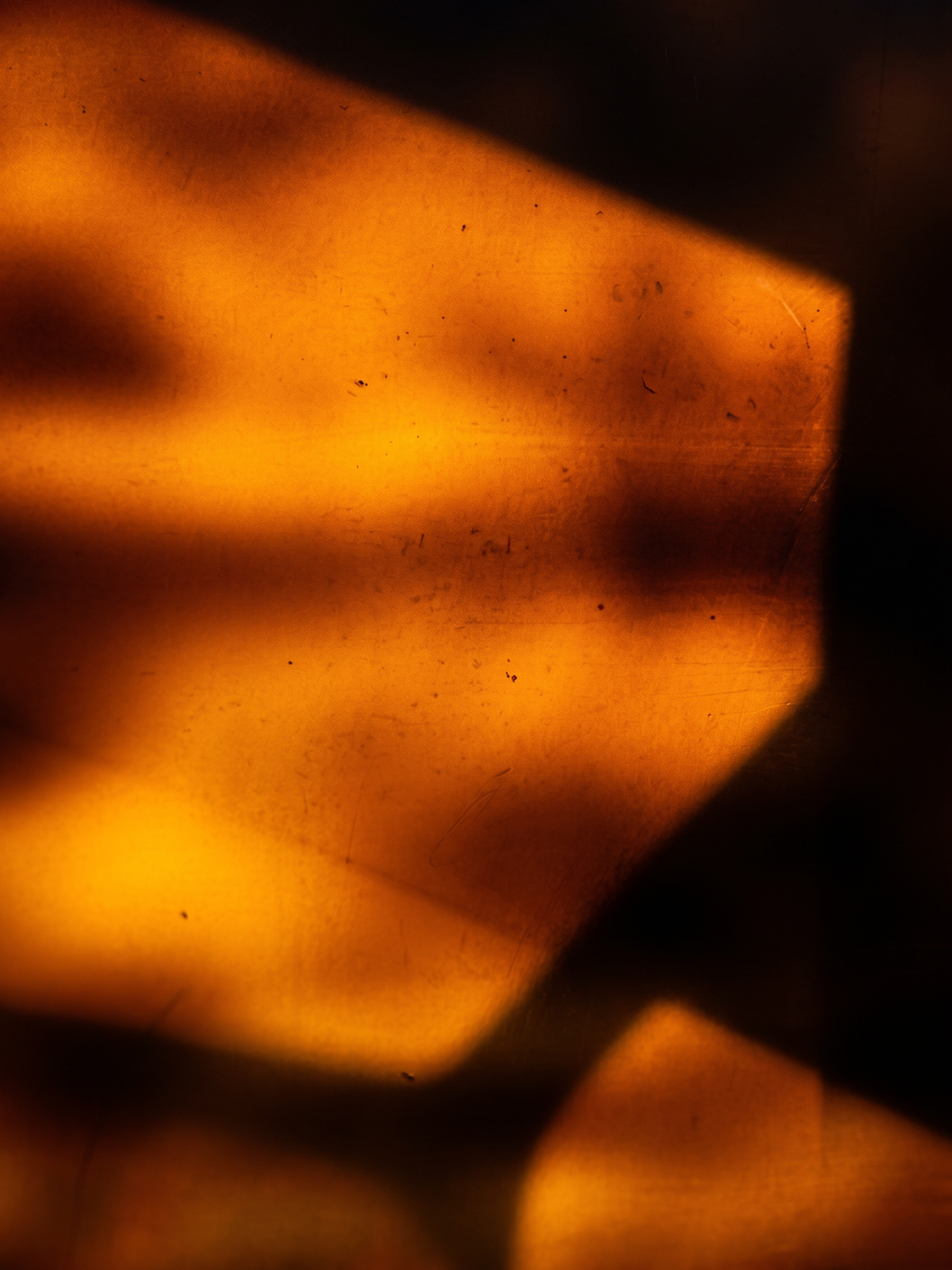 BIO POLARIZED SUNGLASSES Ecaille Claire 