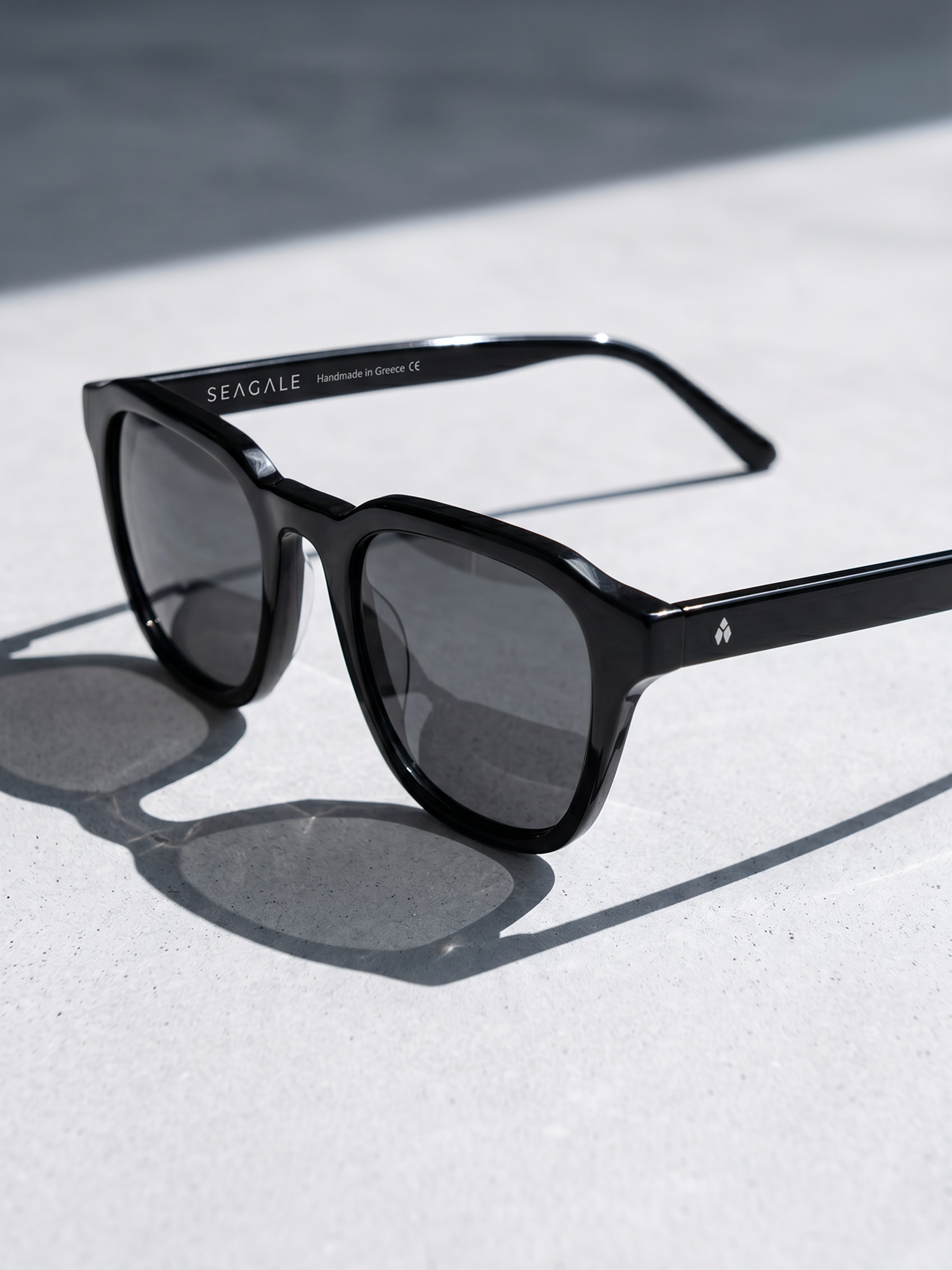 BIO POLARIZED SUNGLASSES Noir 
