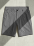 FREEDOM SHORTS Gris Clair 