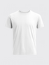 EVOLUTION MERINO T-SHIRT Blanc 